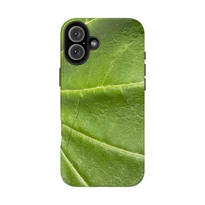 Green Leaf | Tough - Caseadia