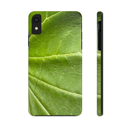 Green Leaf | Tough - Caseadia